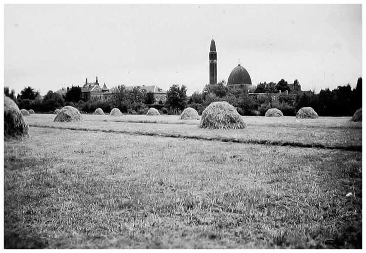 Weiland met hooioppers. Op de achtergrond het silhouet van Waalwijk met de St.-Janskerk. (Foto: fotograaf onbekend, ca 1940, collectie Streekarchief Langstraat Heusden Altena)