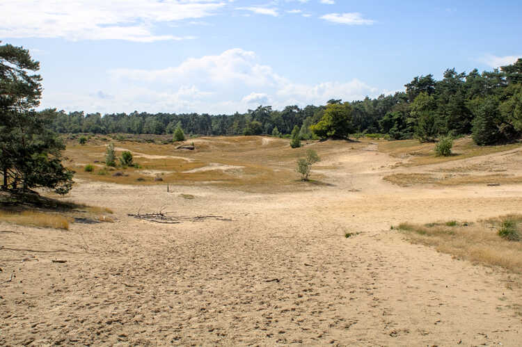 De hedendaagse Loonse en Drunense Duinen (Bron: Migl, Alexander, “Loonse en Drunense Duinen” 2021, Wikimedia.org, Wikimedia Commons, geraadpleegd 23 mei 2021.)