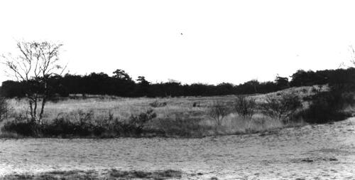 003 Tenblakke, onze speultuin van zand, heide en bossen